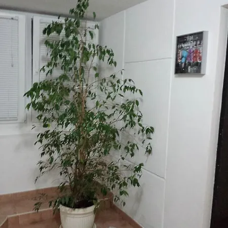 Sparrow Apartman Zadar